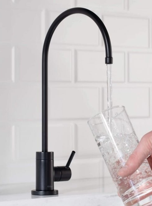 Kitchen Faucet with Filtered Water Dispenser